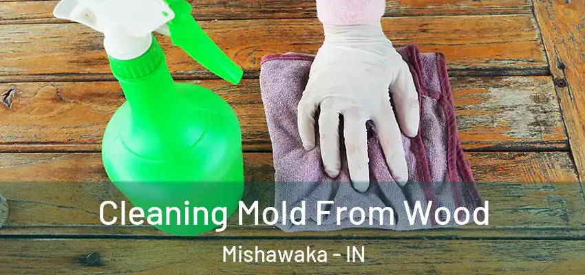  Cleaning Mold From Wood Mishawaka - IN