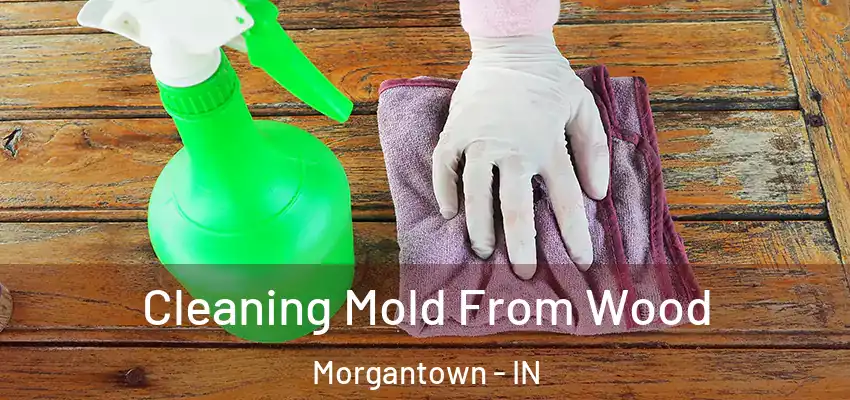 Cleaning Mold From Wood Morgantown - IN