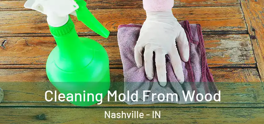  Cleaning Mold From Wood Nashville - IN