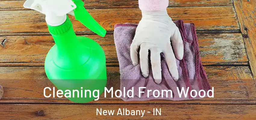  Cleaning Mold From Wood New Albany - IN