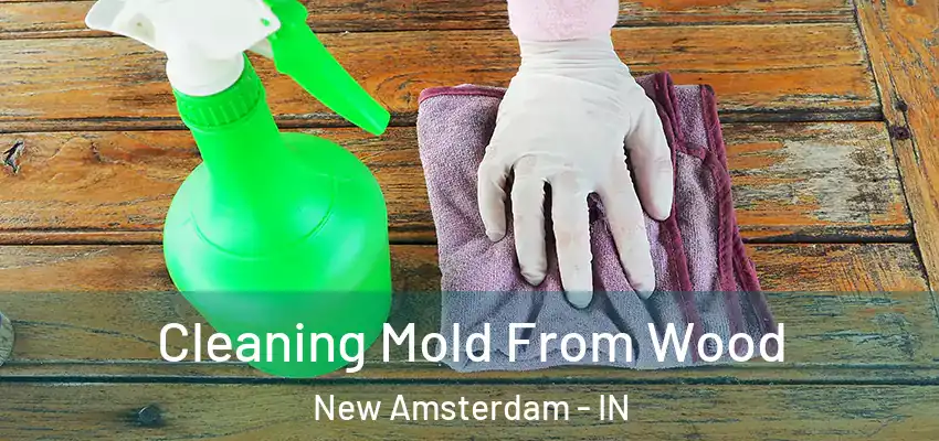  Cleaning Mold From Wood New Amsterdam - IN
