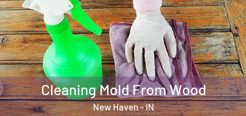  Cleaning Mold From Wood New Haven - IN