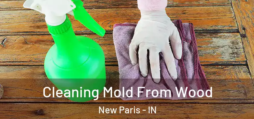  Cleaning Mold From Wood New Paris - IN