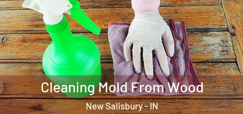  Cleaning Mold From Wood New Salisbury - IN
