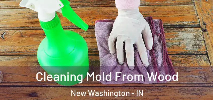  Cleaning Mold From Wood New Washington - IN