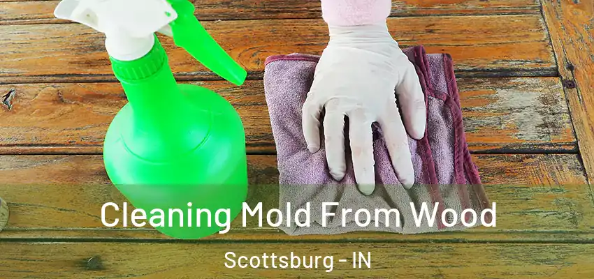  Cleaning Mold From Wood Scottsburg - IN