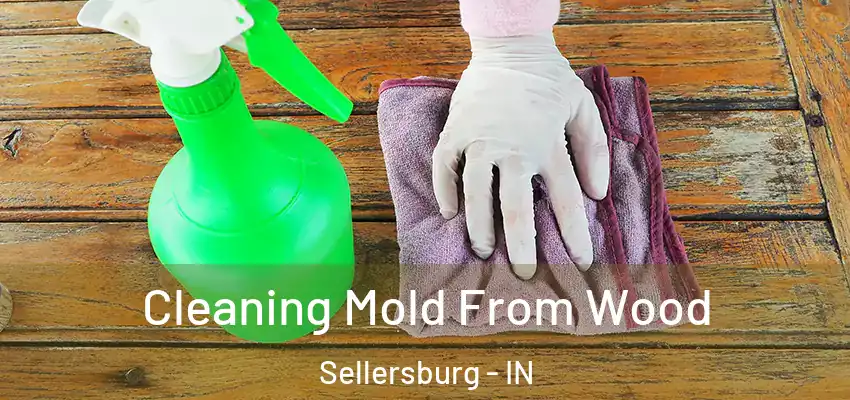  Cleaning Mold From Wood Sellersburg - IN