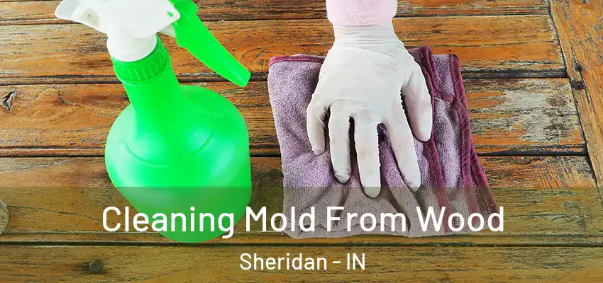  Cleaning Mold From Wood Sheridan - IN