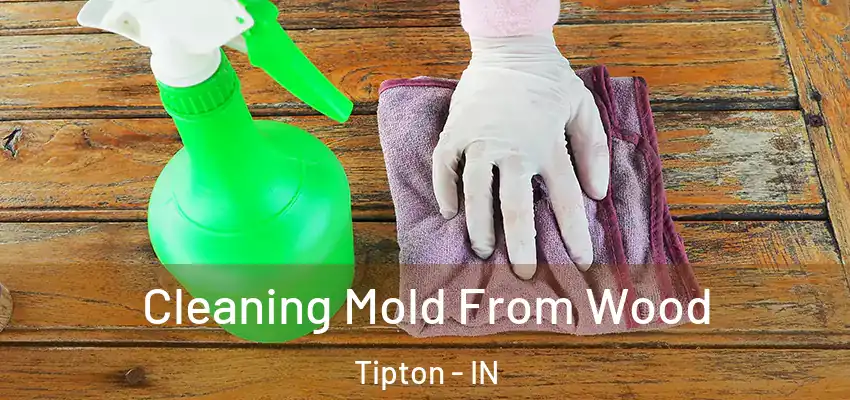 Cleaning Mold From Wood Tipton - IN