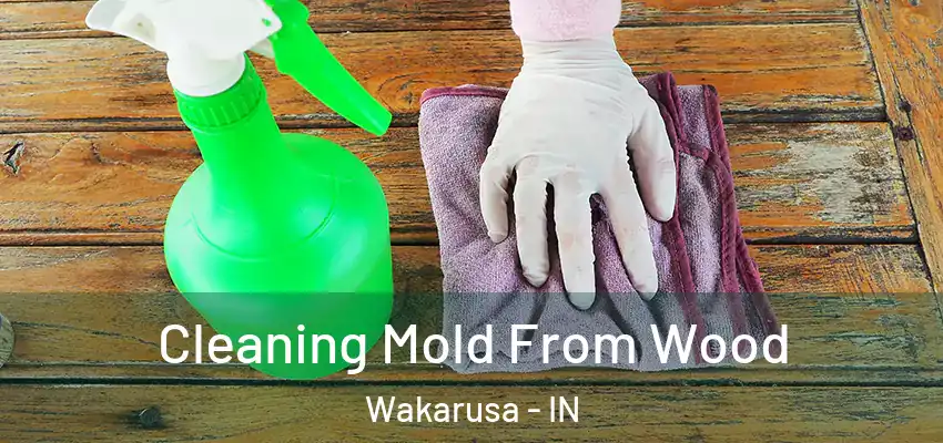  Cleaning Mold From Wood Wakarusa - IN