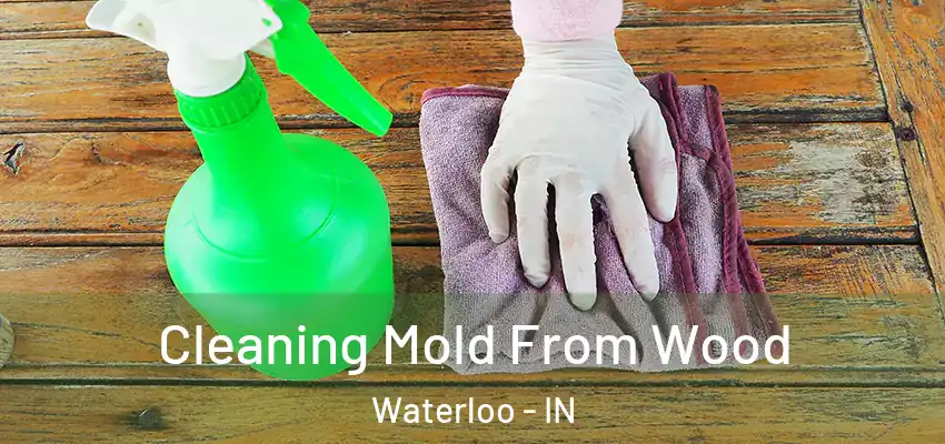  Cleaning Mold From Wood Waterloo - IN