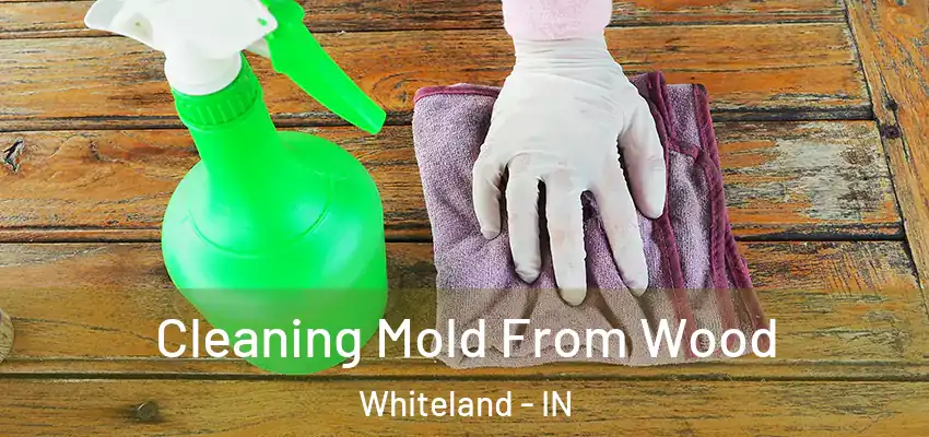  Cleaning Mold From Wood Whiteland - IN