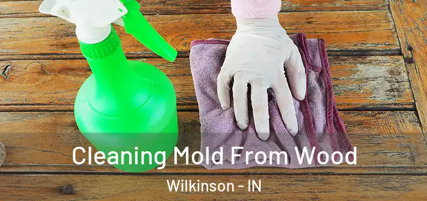  Cleaning Mold From Wood Wilkinson - IN