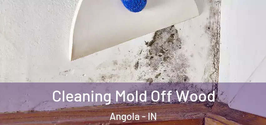  Cleaning Mold Off Wood Angola - IN