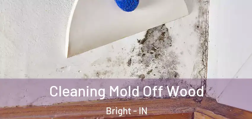 Cleaning Mold Off Wood Bright - IN