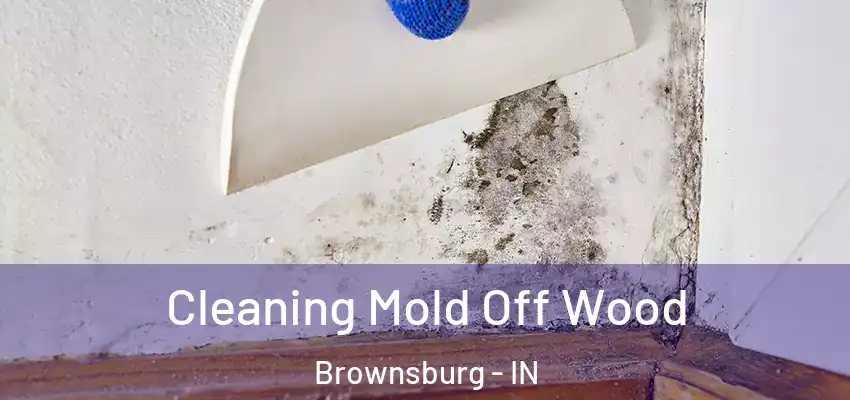  Cleaning Mold Off Wood Brownsburg - IN