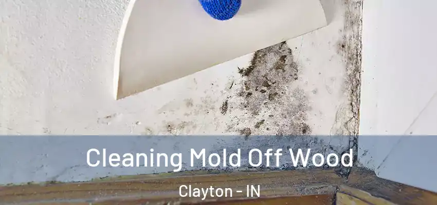  Cleaning Mold Off Wood Clayton - IN