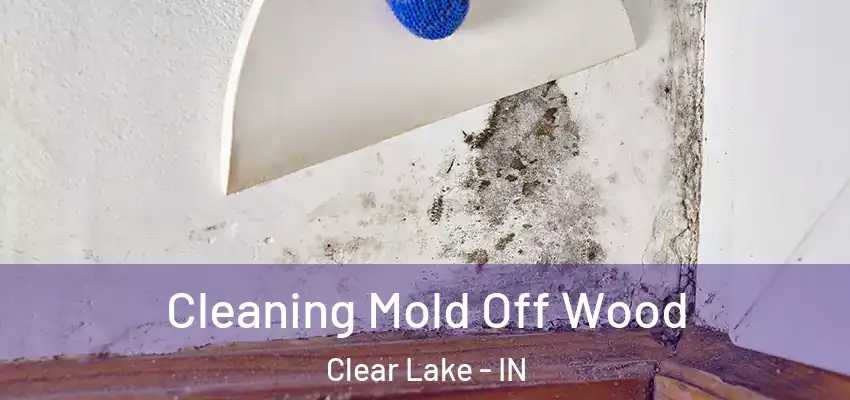  Cleaning Mold Off Wood Clear Lake - IN