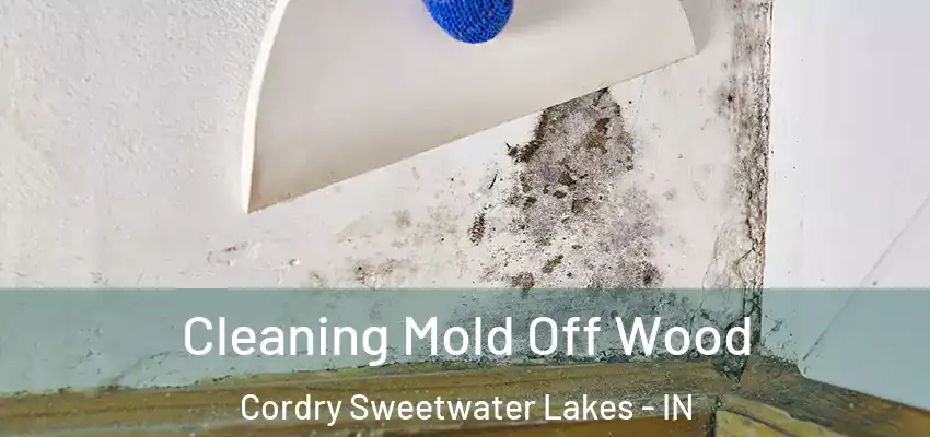 Cleaning Mold Off Wood Cordry Sweetwater Lakes - IN