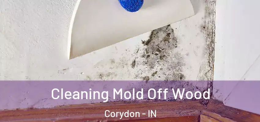 Cleaning Mold Off Wood Corydon - IN