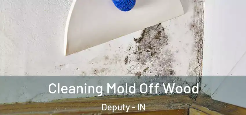  Cleaning Mold Off Wood Deputy - IN