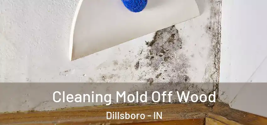  Cleaning Mold Off Wood Dillsboro - IN