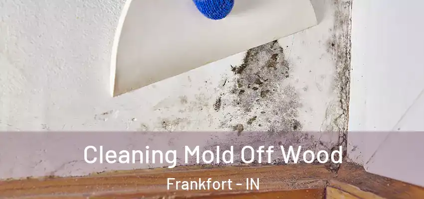  Cleaning Mold Off Wood Frankfort - IN
