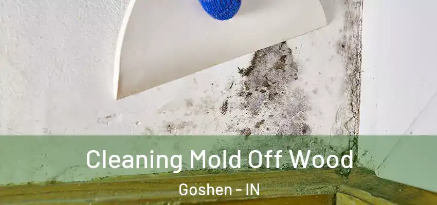 Cleaning Mold Off Wood Goshen - IN