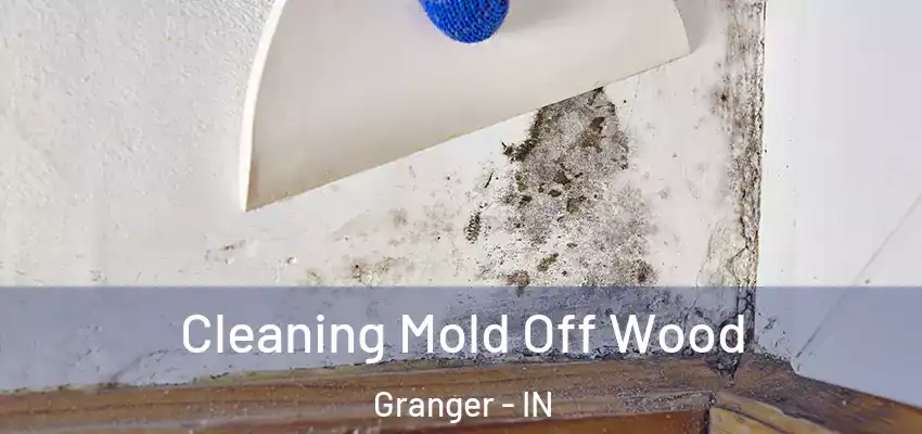 Cleaning Mold Off Wood Granger - IN