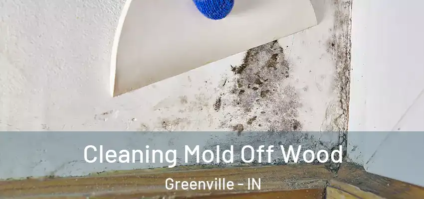  Cleaning Mold Off Wood Greenville - IN