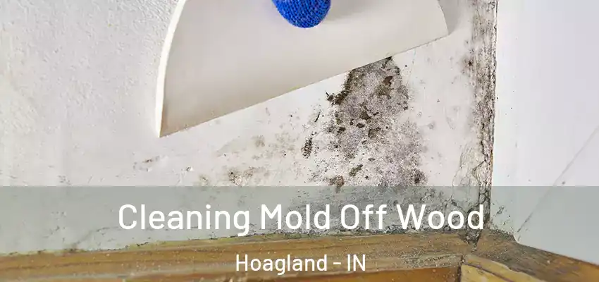  Cleaning Mold Off Wood Hoagland - IN
