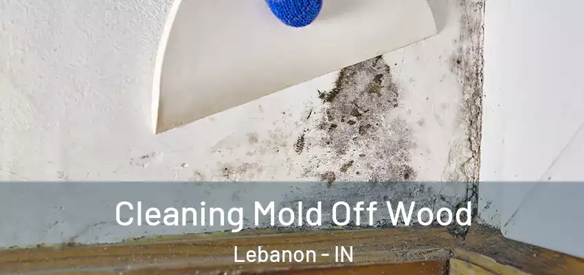  Cleaning Mold Off Wood Lebanon - IN