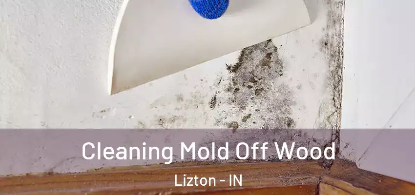  Cleaning Mold Off Wood Lizton - IN