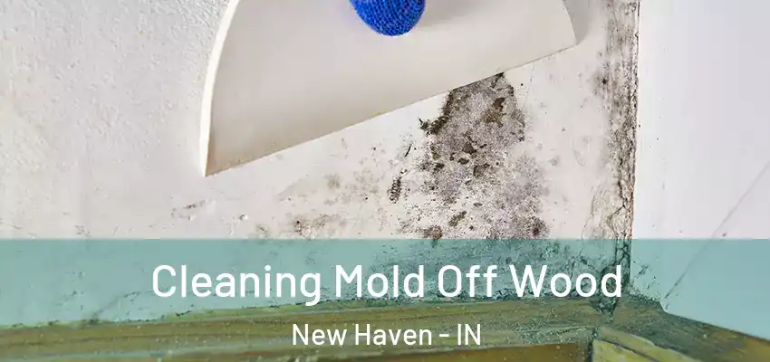  Cleaning Mold Off Wood New Haven - IN