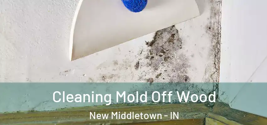  Cleaning Mold Off Wood New Middletown - IN