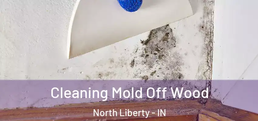  Cleaning Mold Off Wood North Liberty - IN