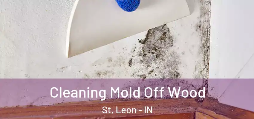  Cleaning Mold Off Wood St. Leon - IN