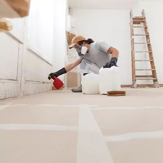 Reliable Mold Stain Remover Specialists in Noblesville, IN