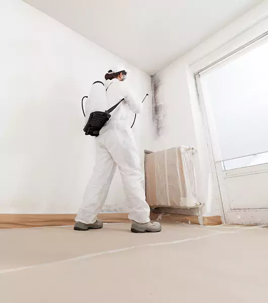Specialists in All Areas of Mold Remediation and Water Damage Restoration in Noblesville, IN
