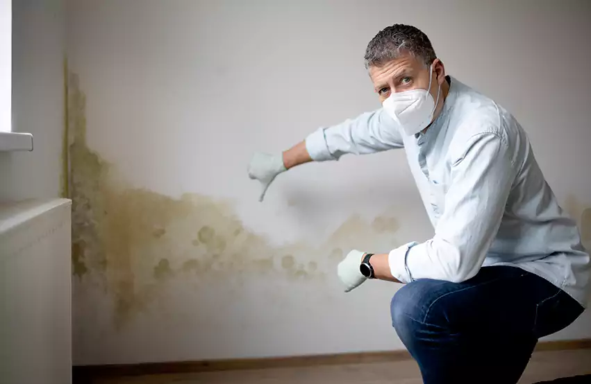 Mold Removal in Noblesville, IN