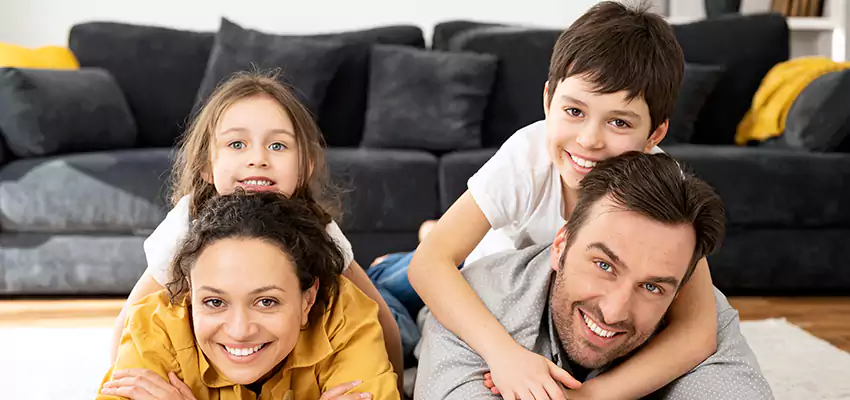 Mold Stain Remover for Wood in Noblesville, IN