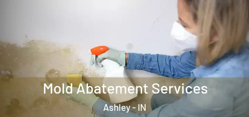 Mold Abatement Services Ashley - IN