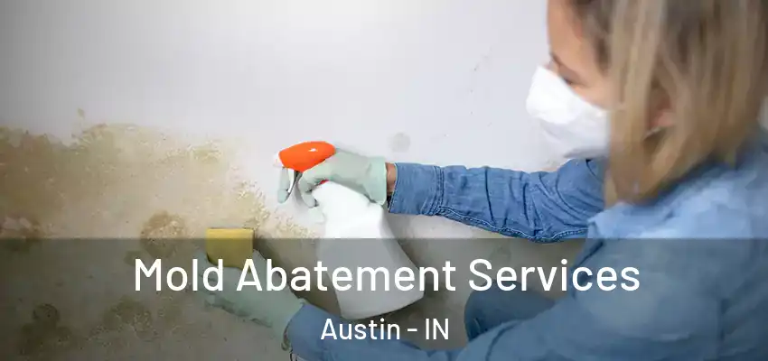 Mold Abatement Services Austin - IN