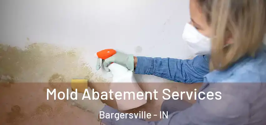 Mold Abatement Services Bargersville - IN
