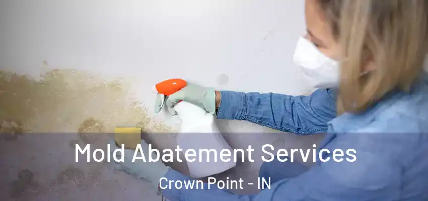 Mold Abatement Services Crown Point - IN