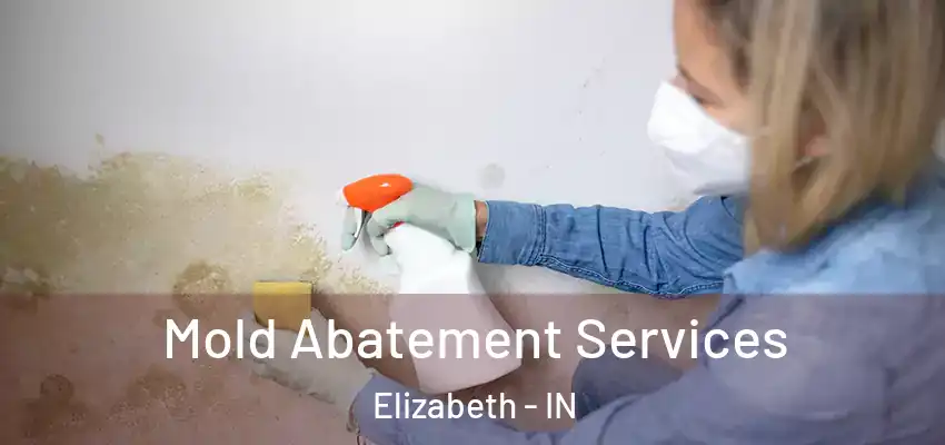  Mold Abatement Services Elizabeth - IN