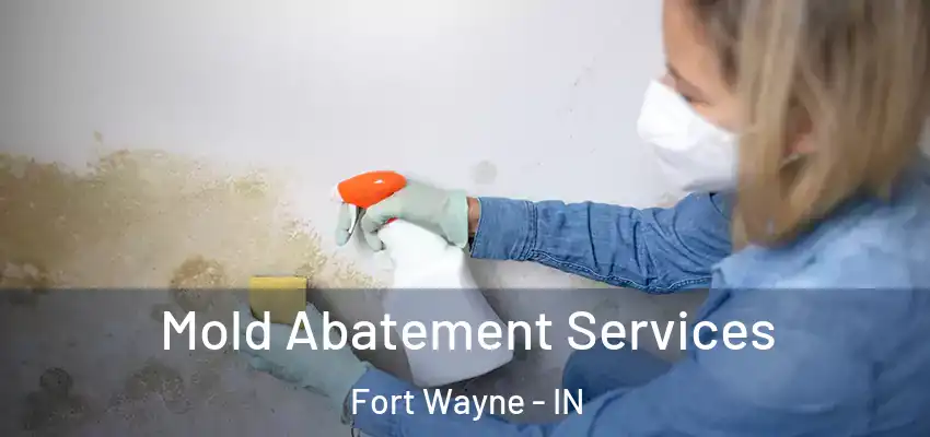  Mold Abatement Services Fort Wayne - IN
