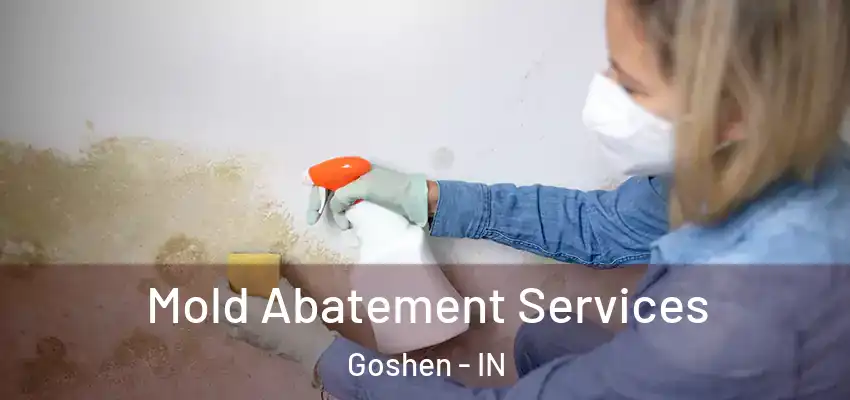  Mold Abatement Services Goshen - IN