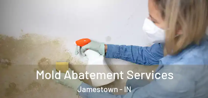 Mold Abatement Services Jamestown - IN