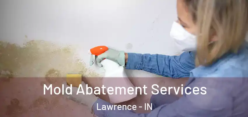 Mold Abatement Services Lawrence - IN